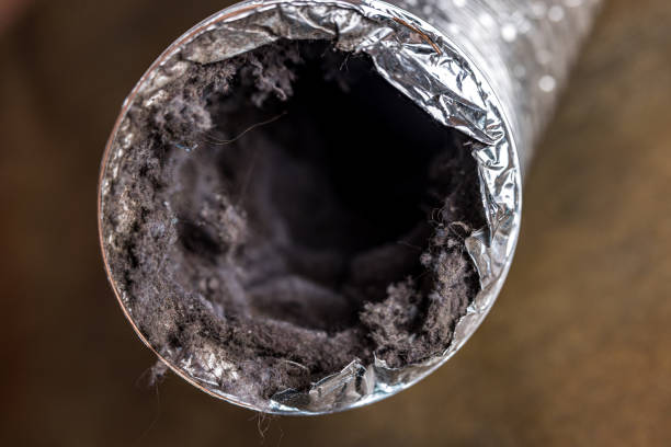 Best Home Air Vent Cleaning  in Xtonia, PA