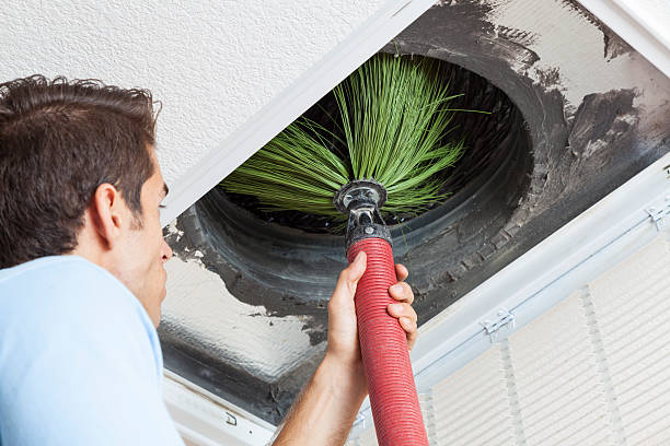 Best Affordable Duct Cleaning Services  in Xtonia, PA
